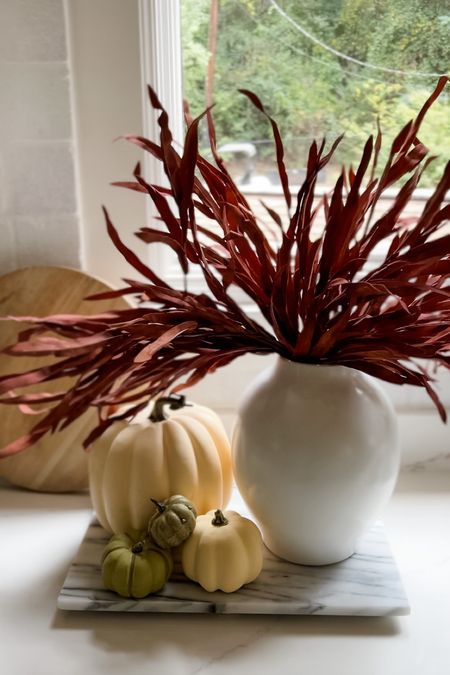 I love these pretty stems for Fall! They bring in the perfect color 👏🏼

Fall, fall decor, seasonal decor, faux stems, faux blooms, faux florals, fall stems, fall florals, kitchen, cutting board, marble cutting board, budget friendly home decor, modern home, traditional home, neutral home decor, Amazon, Amazon home, Amazon must haves, Amazon finds, amazon favorites, Amazon home decor, #amazon #amazonhome 



#LTKSeasonal #LTKfindsunder50 #LTKhome