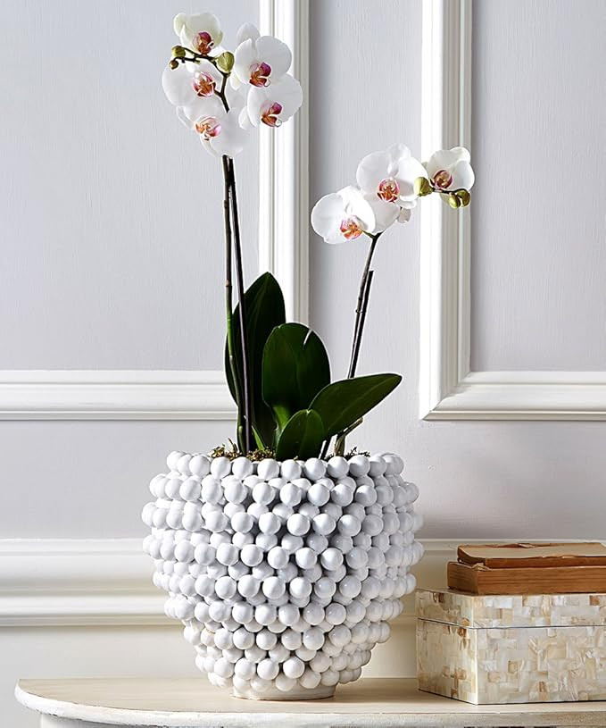 Two's Company Pompom Vase/Planter | Amazon (US)