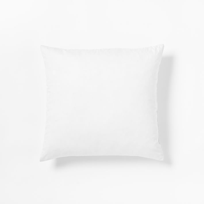 Decorative Pillow Insert – 20"sq. | West Elm (US)