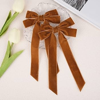 2PCS Velvet Hair Bows Brown Hair Ribbon Clips Big Fall Alligator Clips Hair Accessories for Women... | Amazon (US)