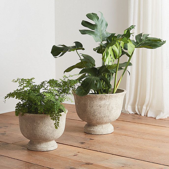 Gordon Outdoor Planter Concrete Flower pot | Ballard Designs, Inc.