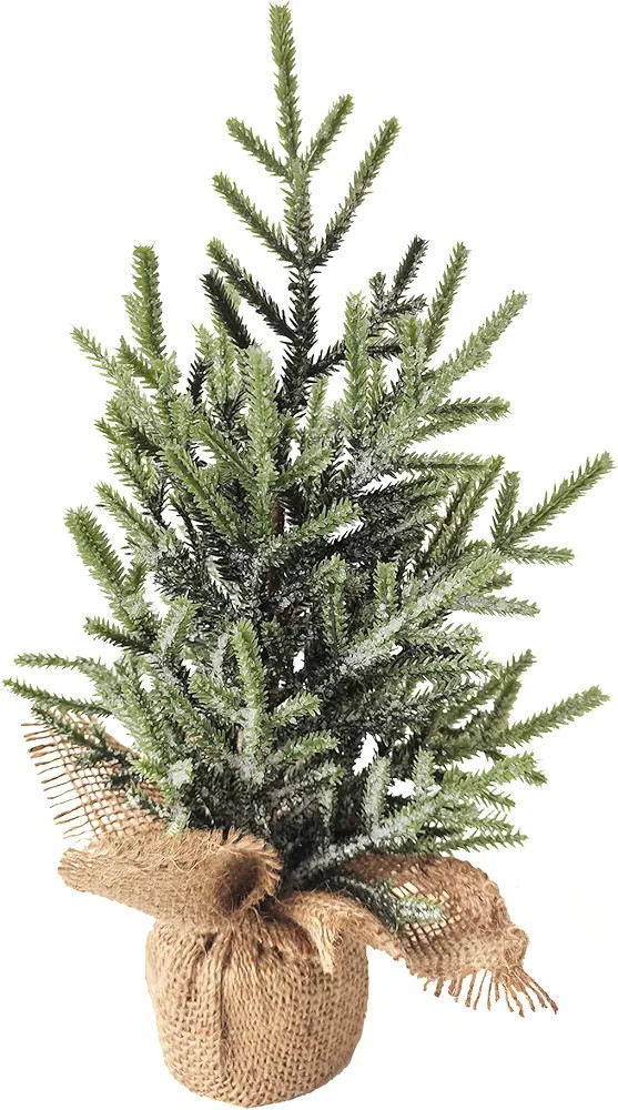 Northlight Frosted Pine Tree with Natural Jute Base Christmas Decoration - 13.25" | Amazon (US)