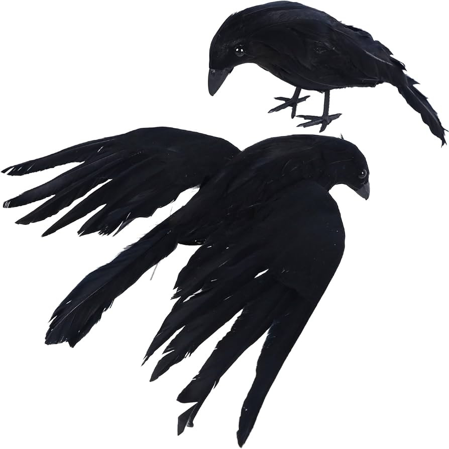 YOFIT Halloween Crows Decorations 2 Pcs Extra Large Crows 17 Inch & 10 Inch | Amazon (US)
