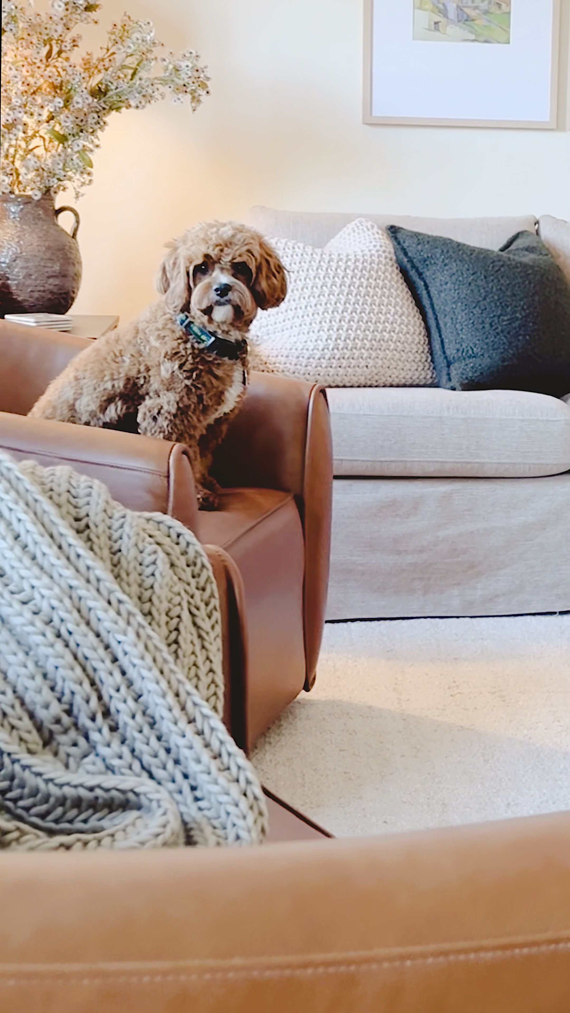 Living room! 

#LTKWatchNow #LTKStyleTip #LTKHome