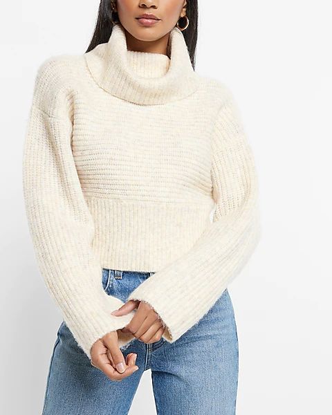 Chunky Turtleneck Sweater | Express