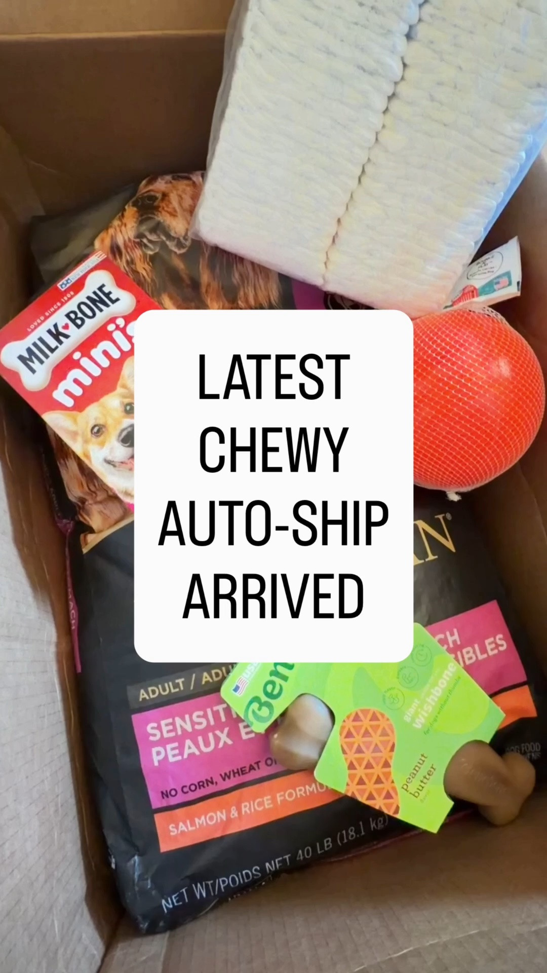 What’s in Our Latest Chewy Auto-Ship Haul!

One of our monthly Chewy auto-ships just arrived, and the pups are absolutely obsessed! If you are looking for the best dog essentials, must-have pet products, or just need to restock your dog food and treats, this box has it all.

Purina Pro Plan Sensitive Skin & Stomach Dog Food: The absolute best dry dog food for pups with sensitive tummies. Formulated with salmon and rice (no corn, wheat, or soy) for healthy skin and digestion. 

Benebone Wishbone Dog Chew Toy: Durable nylon chew toy infused with real peanut butter flavor. Perfect for aggressive chewers and keeping "the girls" busy for hours! 

Milk-Bone Minis Flavor Snacks: The ultimate bite-sized dog cookies and training treats. Everyone loves a cookie, especially when they are only 5 calories each! 

Jolly Pets Bounce-n-Play Ball: An incredibly fun, durable dog toy ball that bounces, floats, and resists punctures. Soooo much fun for outdoor play! 

Pet Training Pads / Pee Pads: Essential, ultra-absorbent puppy pads for easy cleanups and potty training maintenance.

#ChewyHaul #ChewyAutoShip #DogEssentials #PetProducts #PurinaPro Plan #DogFood #Benebone #DogChewToy #MilkBone #DogTreats #JollyPets #DogToys #PuppyPads #PetCare #DogLovers #LTKpet #LTKdog #ShopTheLook #PetHaul 

 #LTKdayinmylife #LTKSaleAlert