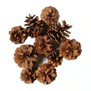 Pinecone Bag by Ashland® | Michaels | Michaels Stores