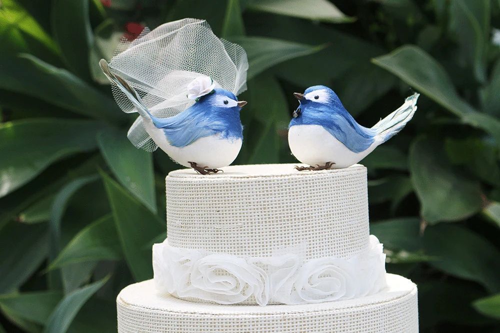 Bluebird Wedding Cake Topper Bride  Groom | Etsy (US)