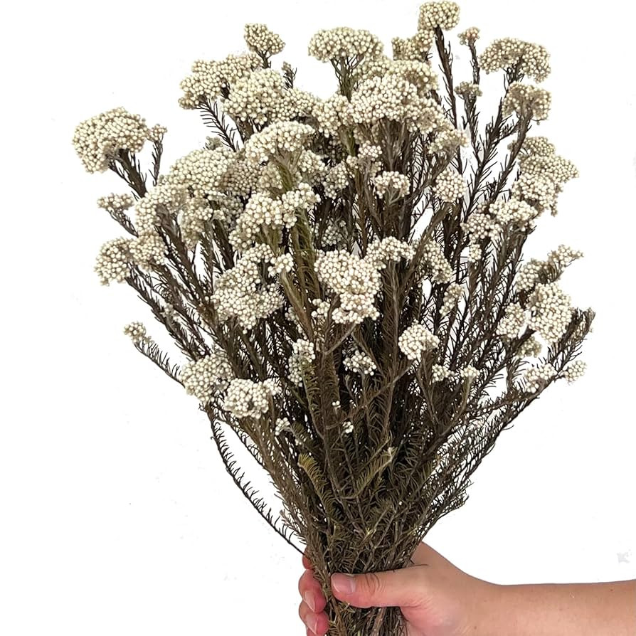 17 Inches Natural Dried Millet Flower Bouquet for Decor, 22-25 Stems Home and Wedding Decoration ... | Amazon (US)