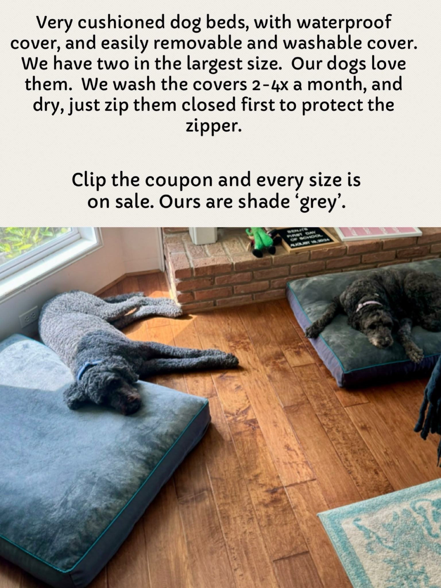 Very cushioned dog beds
Waterproof cover
Outer covers remove easily and are machine wash and dry.  
We wash ours frequently and have held up well
We have the largest size for our large doodles
Pet mom
Home
Dog lover 

#LTKBacktoSchool #LTKFamily #LTKHome