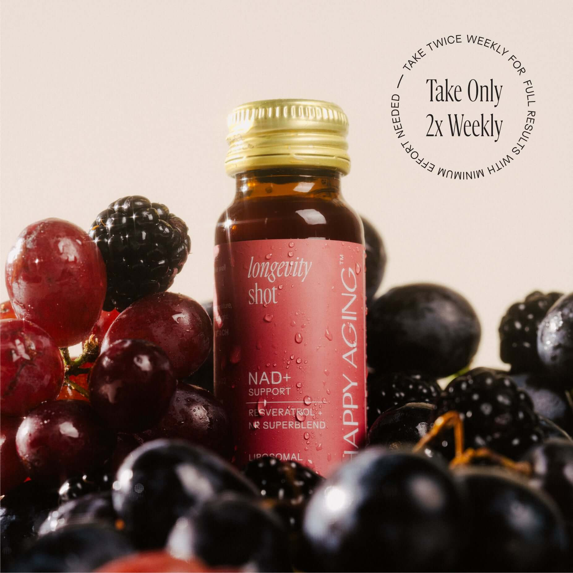 NAD+ Longevity shots
          
          
            Mixed Berry Flavor | Happy Aging