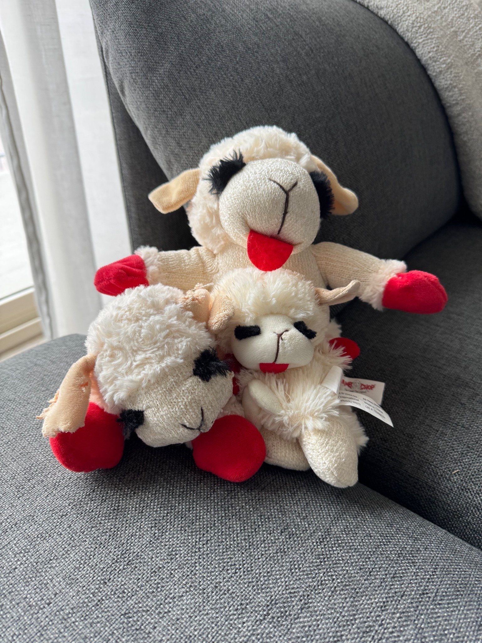 Lamb chop - the gift you can’t go wrong with for the dog in your life! Small, medium, or xtra large all pups love them in all sizes! 

#LTKHoliday #LTKGiftGuide #LTKSaleAlert