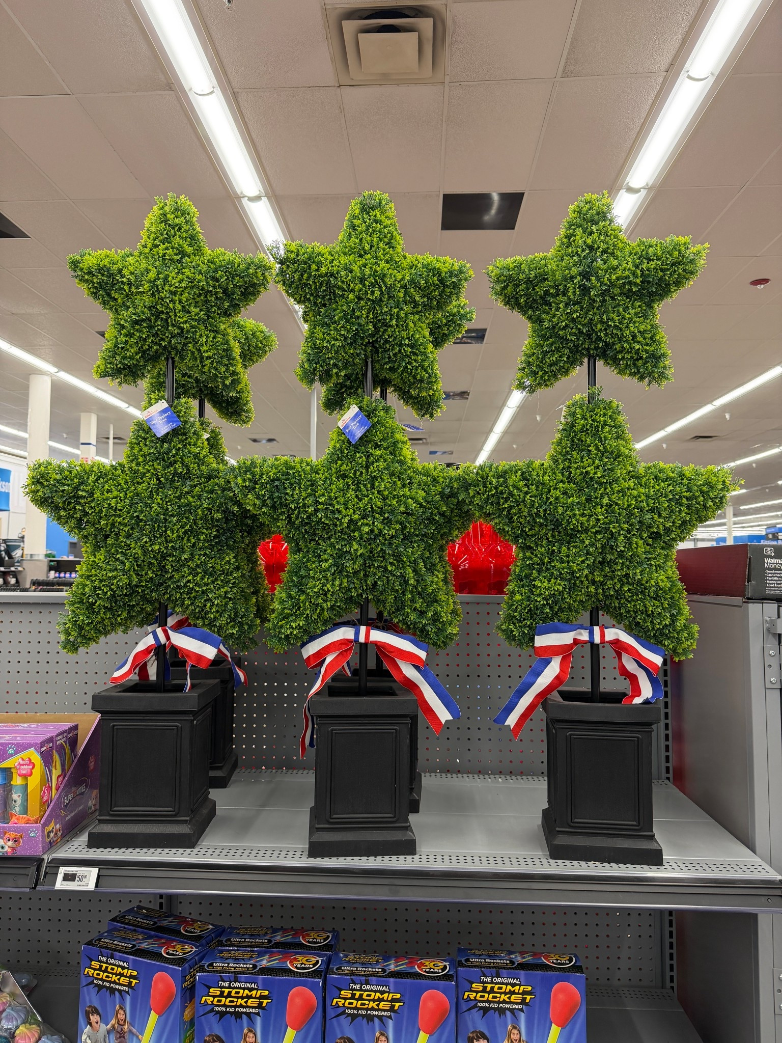 The perfect Patriotic Topiary! 🇺🇸⭐️