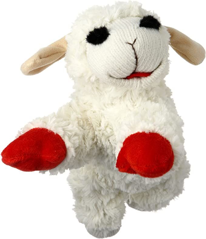 Pet Supplies : Pet Squeak Toys : Multipet Plush Dog Toy, Lambchop, 10", White/Tan : Amazon.com | Amazon (US)