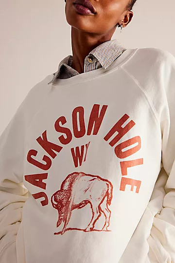 Jackson Hole Crewneck | Free People (Global - UK&FR Excluded)