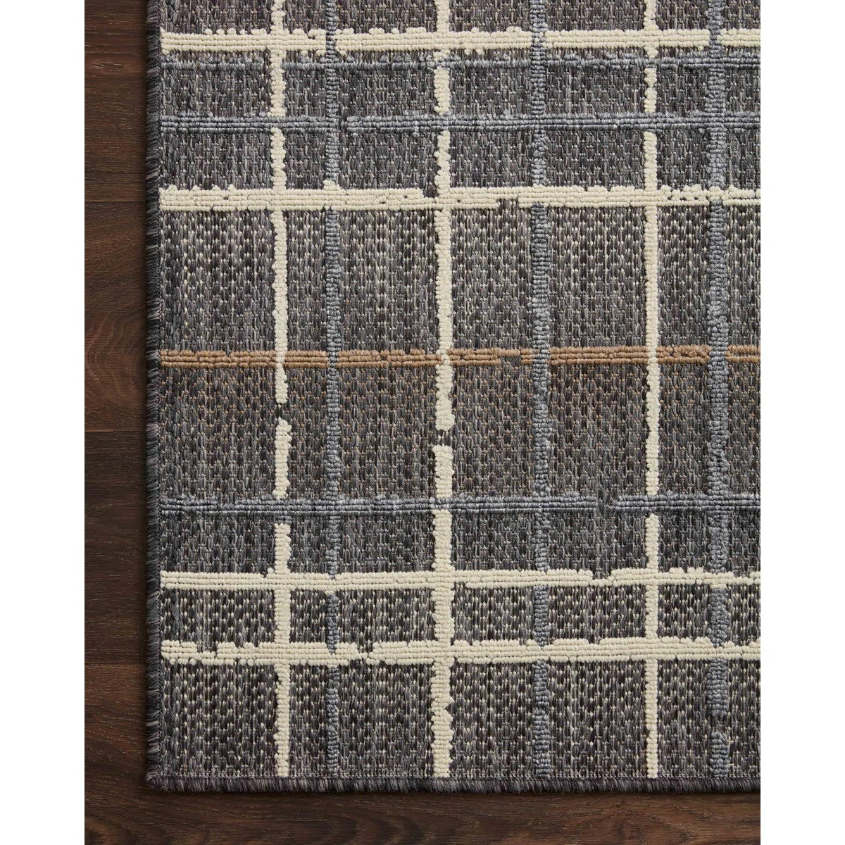 Pesina II Charcoal / Multi Indoor/Outdoor Area Rug | Wayfair North America