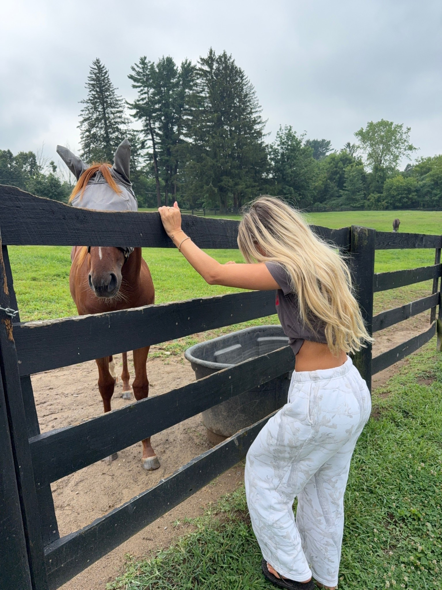 My favorite pair of sweatpants — from dairy boy 🐎