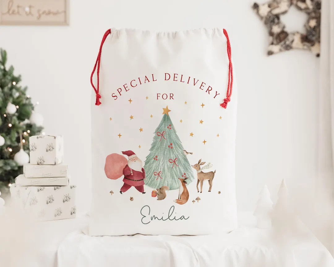 Personalised Santa Sack | Christmas Present Sack | Baby's First Christmas Gift | Special Delivery... | Etsy (US)