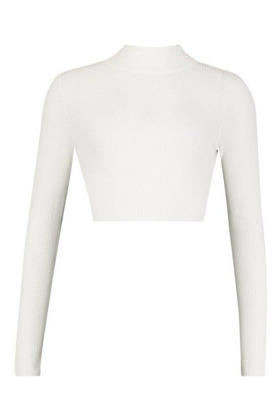 Turtle Neck Rib Knit Crop Sweater | Boohoo.com (US & CA)