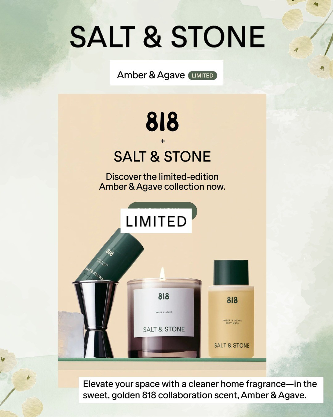 New drop 🤍 the limited-edition Amber & Agave scent from Salt & Stone just launched!Warm, sweet, and a little smoky Think amber, agave, vanilla + soft woods. Perfect for spring & summer ☀️#LTKBeauty #SaltAndStone #AmberAndAgave #SpringFragrance #CleanBeauty #LTKFinds #NewLaunch

#LTKSaleAlert #LTKHome #LTKSeasonal