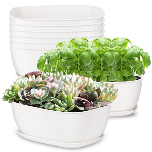 Oliz Set of 8 White Oval Shallow Herb Garden Planters with Drainage Holes and Trays (8.66 Inch) Plant Pots for Herbs Basil Orchids Succulents, Modern Herb Garden Planter for Indoor/Outdoor Plants | Amazon (US)