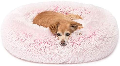Friends Forever Donut Cat Bed, Faux Fur Dog Beds for Medium Small Dogs - Self Warming Indoor Roun... | Amazon (US)
