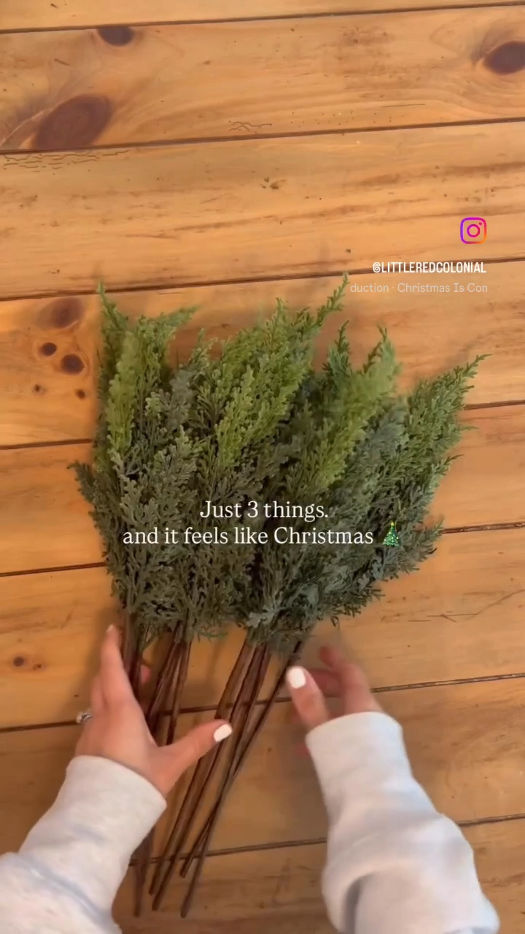 Christmas decor | seasonal | garland | cedar | wreath | home decor | cedar stems | amazon finds | affordable | holiday | cedar garland | earthy 

#LTKFindsUnder50 #LTKSeasonal #LTKSaleAlert
