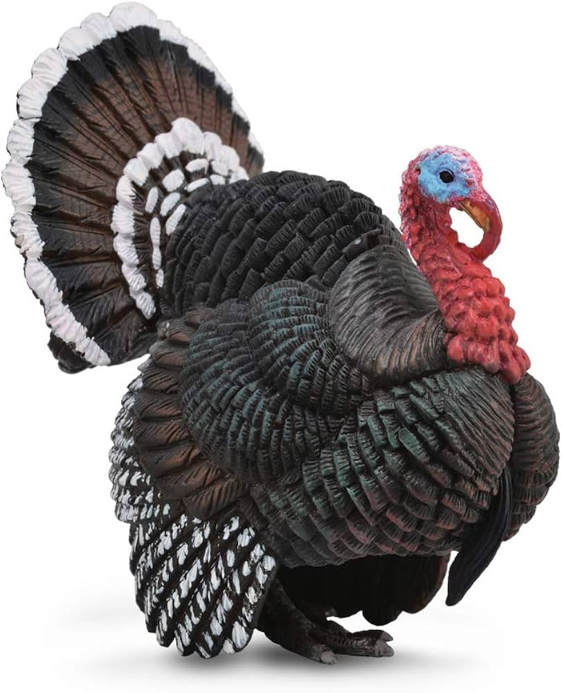 CollectA Turkey Animal Toy | Amazon (US)