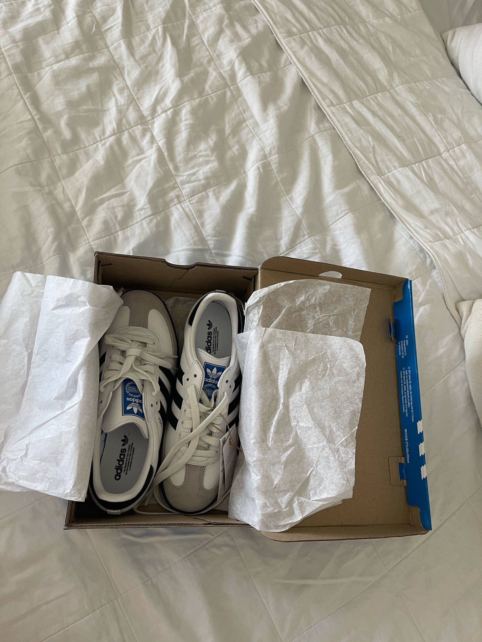 found adidas sambas in lots of sizes still in stock 👟

#LTKshoecrush