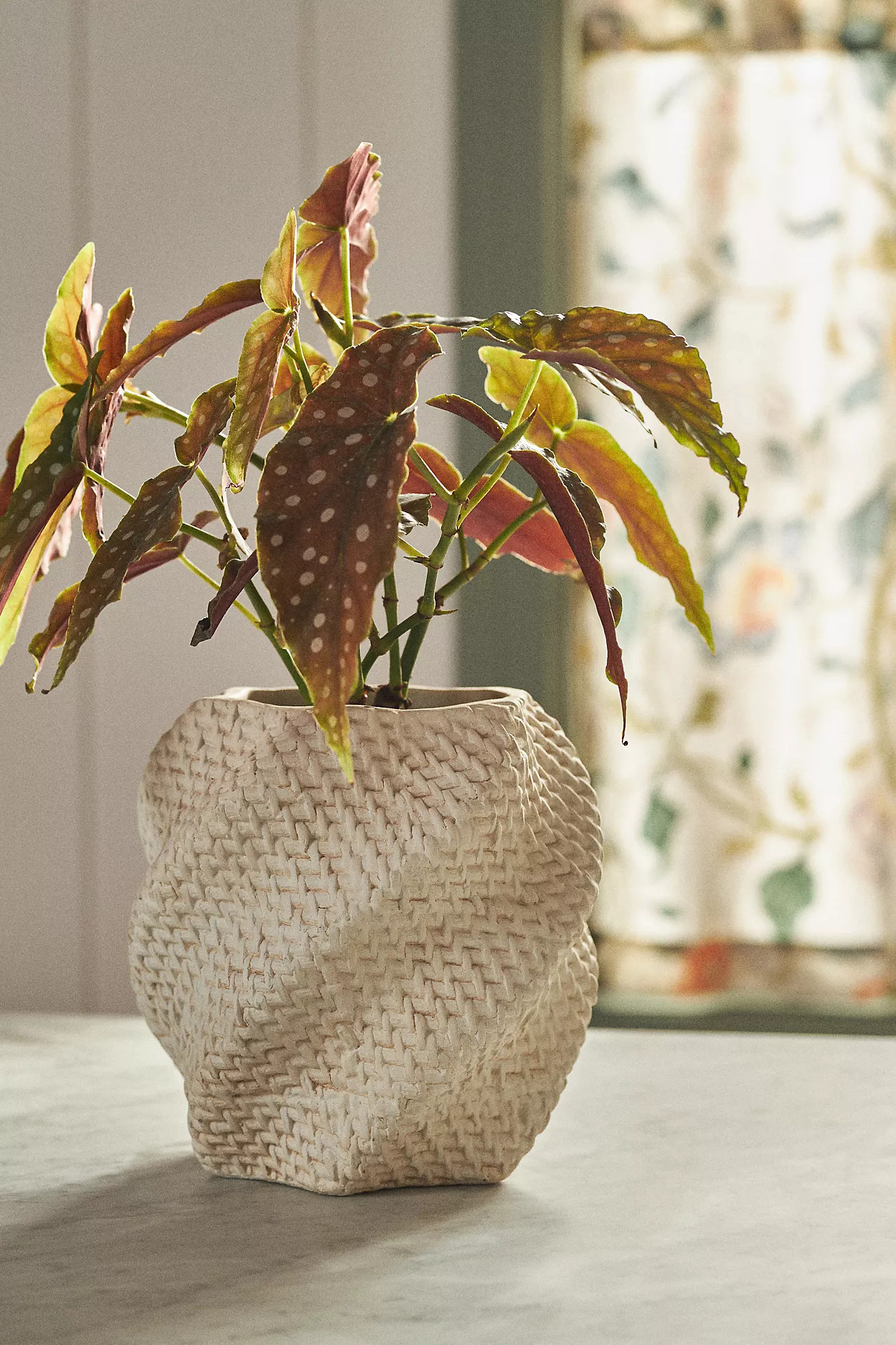 Lennon Twist Textured Cement Pot | Anthropologie (US)