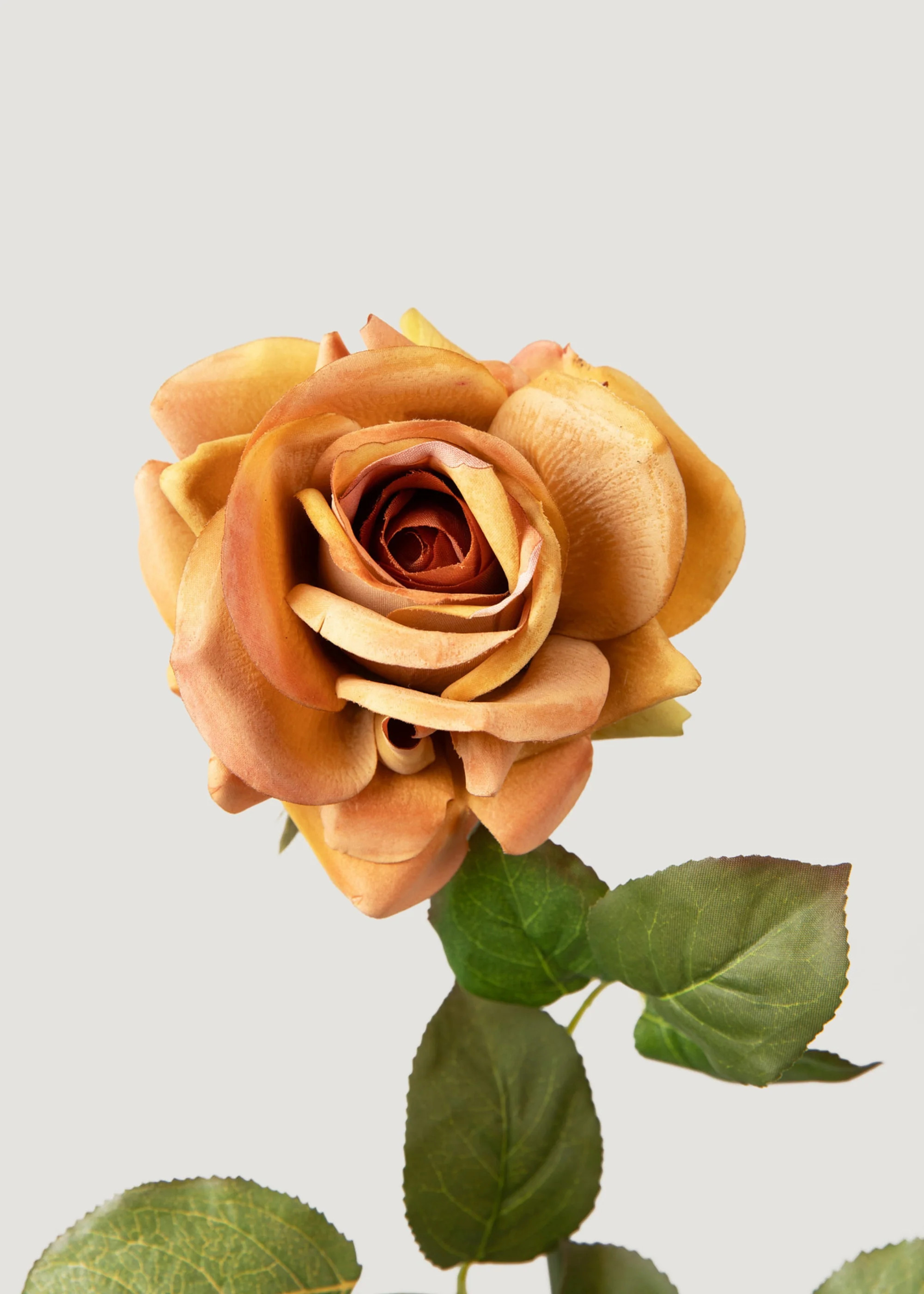 Deluxe Real Touch Rose in Autumn Orange - 29" | Afloral