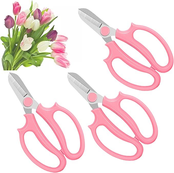 3 Pcs Garden Scissors Floral Shears,Professional Floral Scissors with Comfortable Grip Handle,Pre... | Amazon (US)