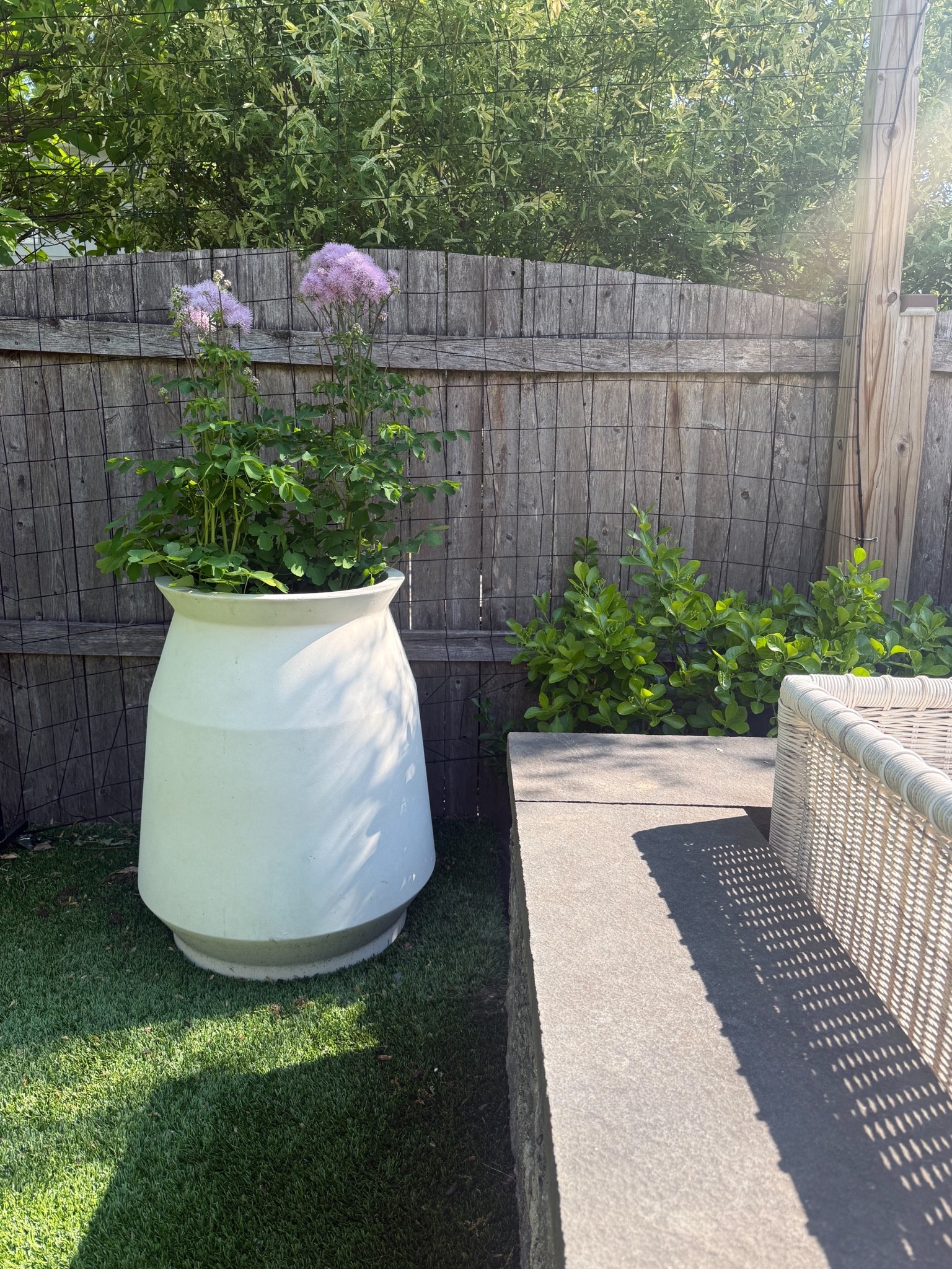 Finally potted some plants around the backyard! This is one of my favorite planters (I have it in two sizes, this is the larger one). Love the shape! Big enough for a small tree and so pretty on a patio 🙌🏻

#LTKHome #LTKSeasonal #LTKdayinmylife