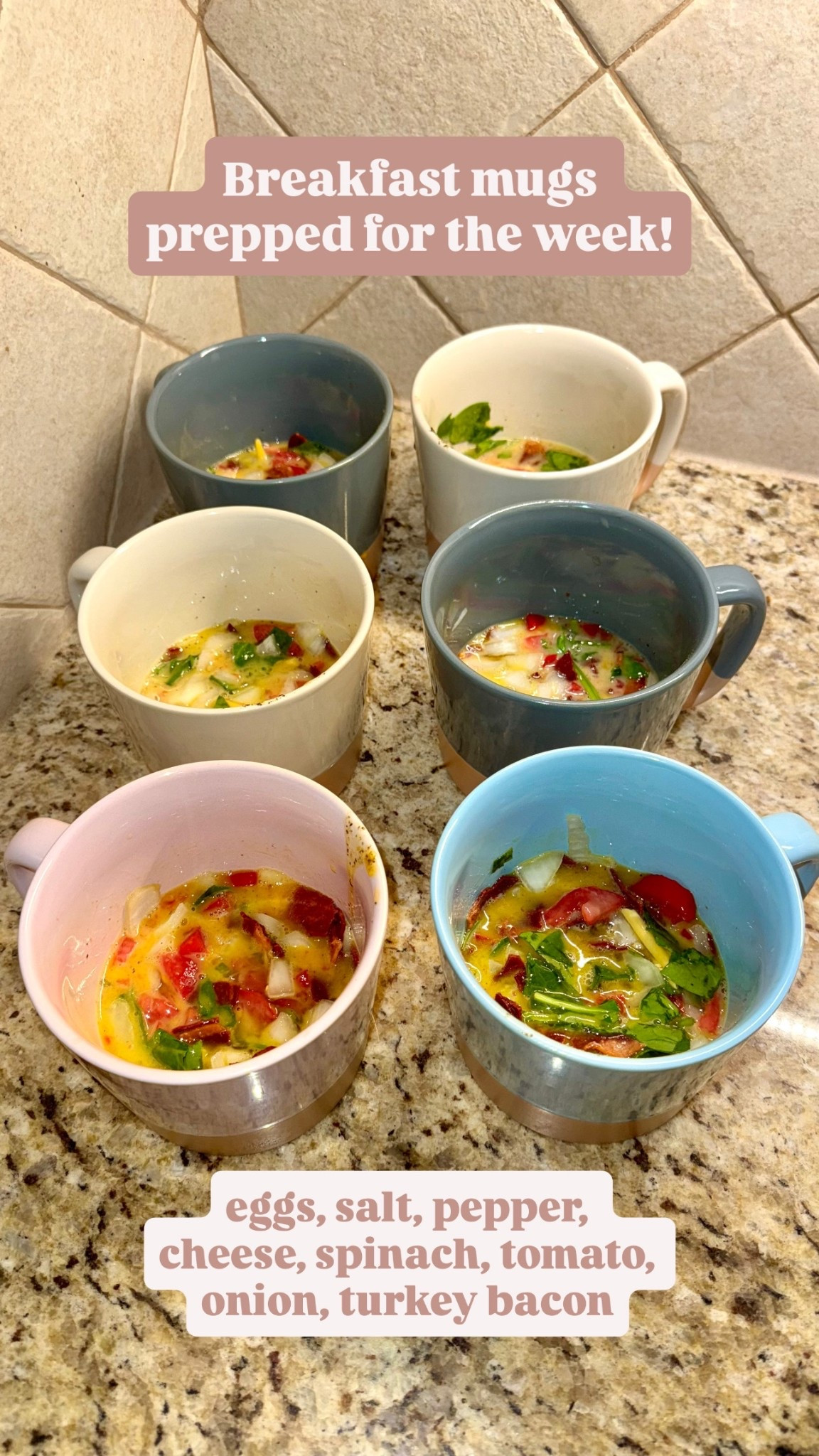 Breakfast mugs. Meal prep. Mugs with lids. Meal prep containers. 

#LTKfitnessgoals #LTKmorningroutine #LTKfoodie