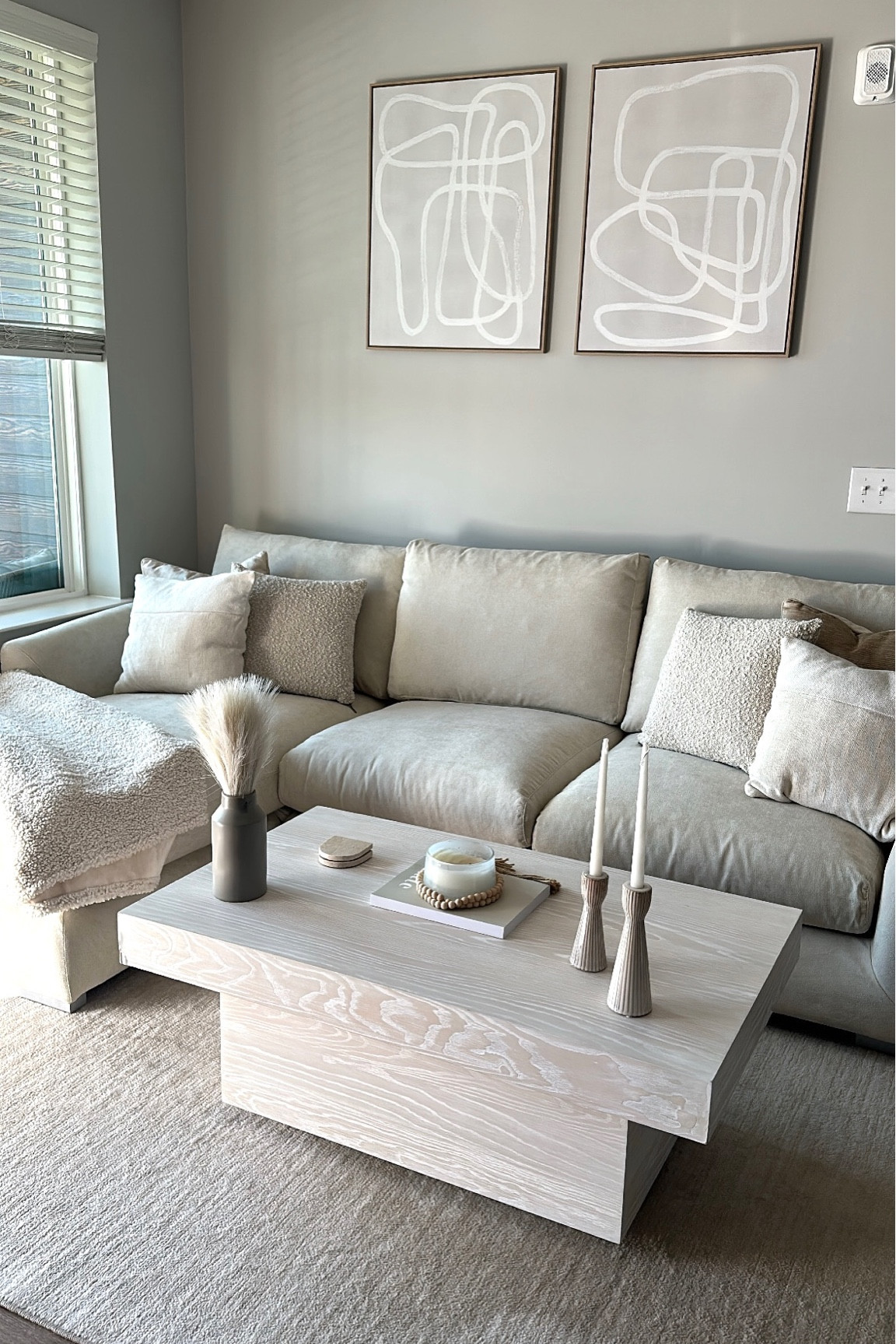 Living room details 🫶🏼🤍

#LTKitbag #LTKhome #LTKstyletip