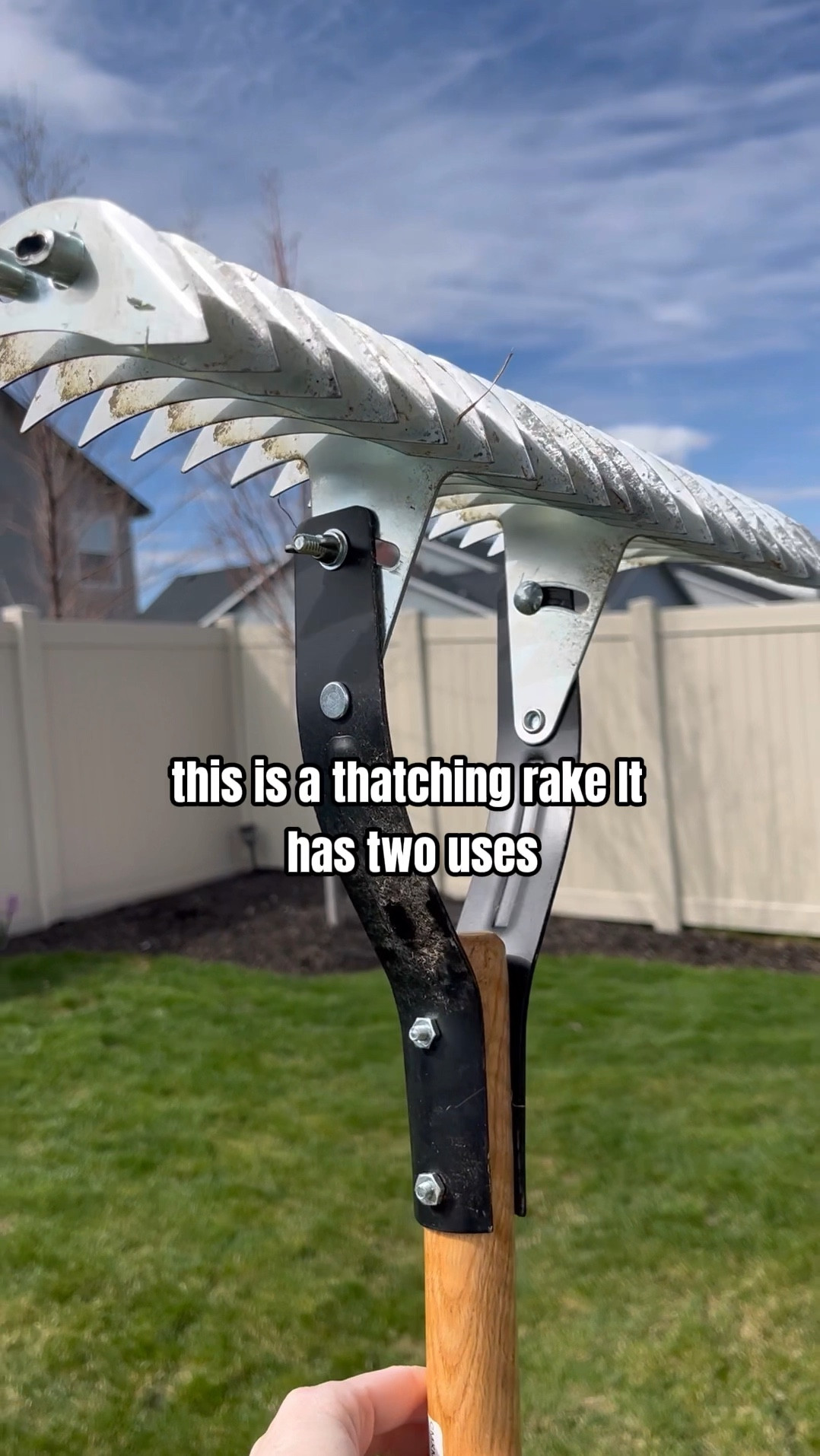Get your lawn looking healthy by dethatching and get rid of all the dead roots to allow for greener lawn

#LTKhome #LTKSeasonal