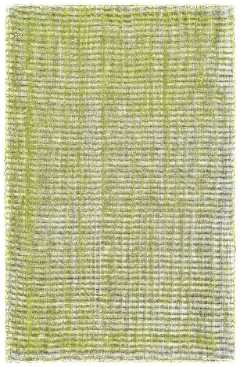 Feizy Landon 8088f Lime Area Rug | RugStudio.com