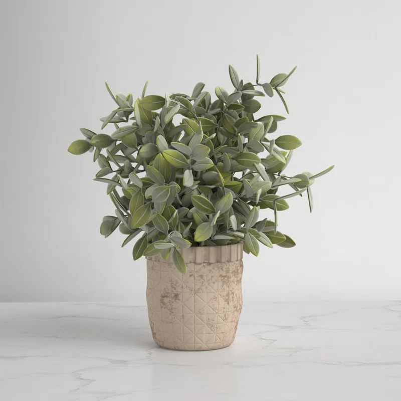 11.5'' Faux Eucalyptus Plant in Ceramic Pot | Wayfair North America