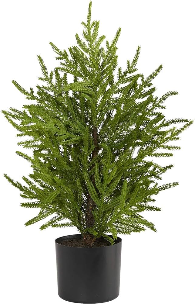 Nearly Natural 2ft. Norfolk Island Pine Natural Look Artificial Tree in Decorative Planter | Amazon (US)