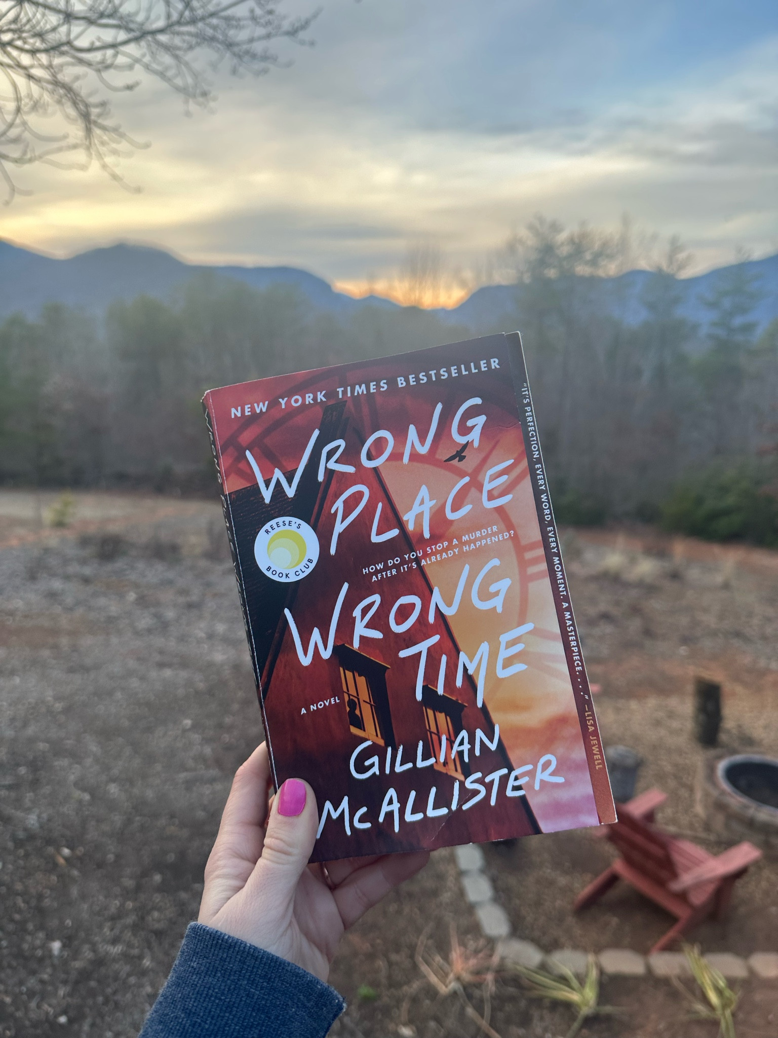 What I’m reading lately: thrillers 

#LTKsalealert #LTKhome #LTKfindsunder50