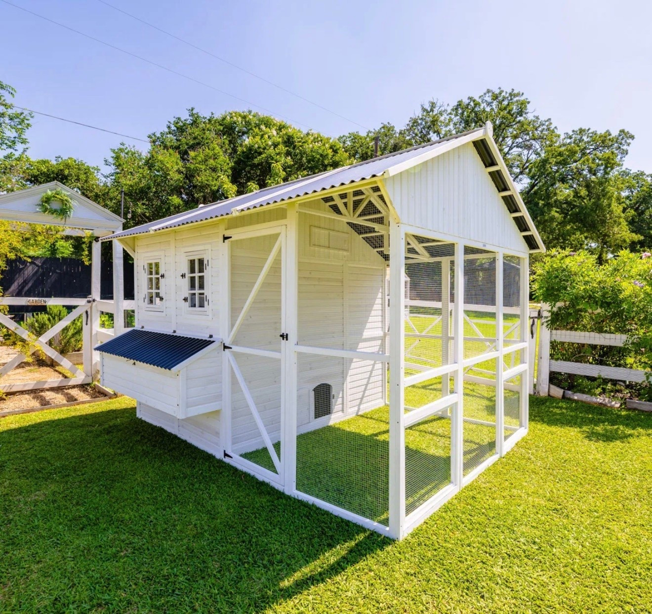 Zylina modern chicken barn

#LTKdayinmylife #LTKmorningroutine #LTKgrwm