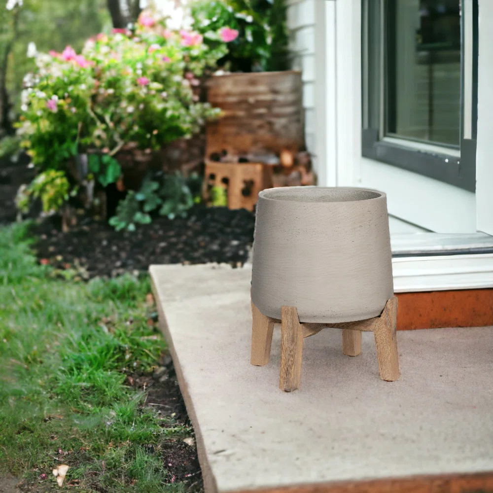 George Oliver Cement Pot Planter | Wayfair | Wayfair North America