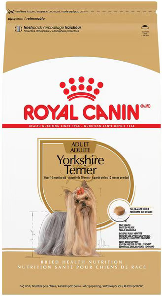 Royal Canin Breed Health Nutrition Yorkshire Terrier Adult Dry Dog Food | Chewy.com