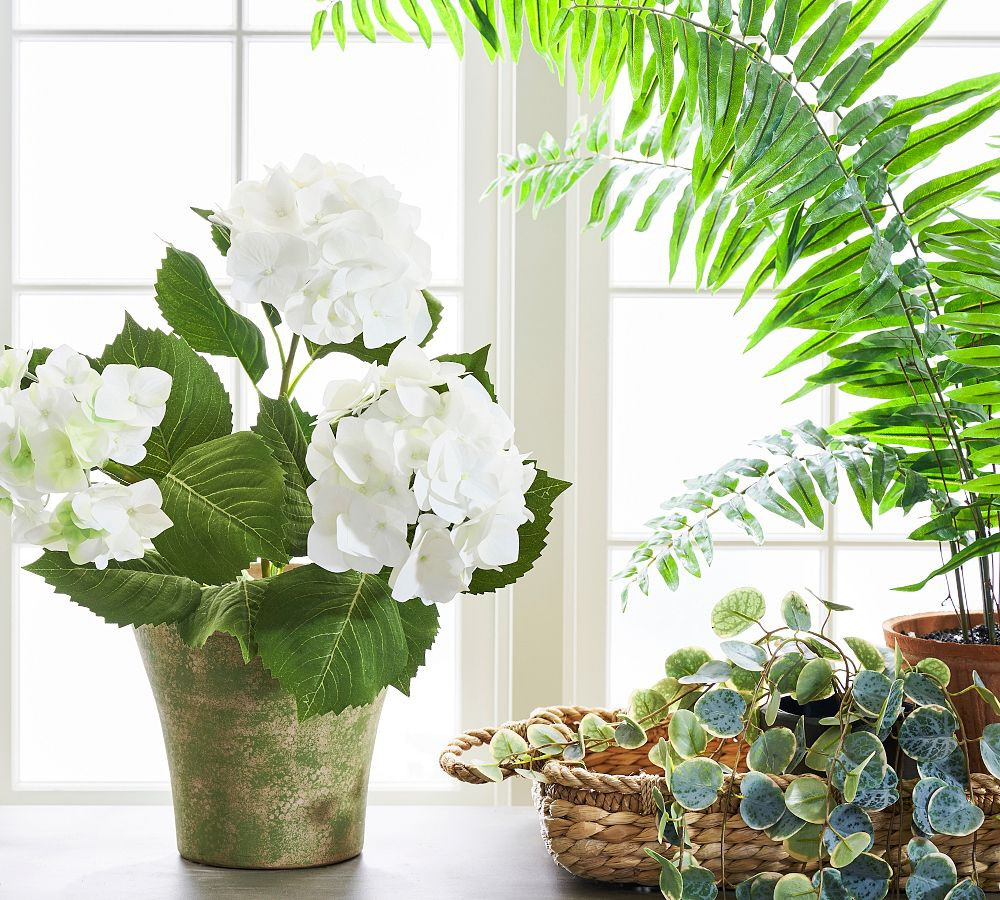 Faux White Hydrangea | Pottery Barn (US)