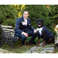 Custom Fit Extra Large Dog Tuxedo 2-Piece Wedding Suit With Bow Tie | Etsy (US)