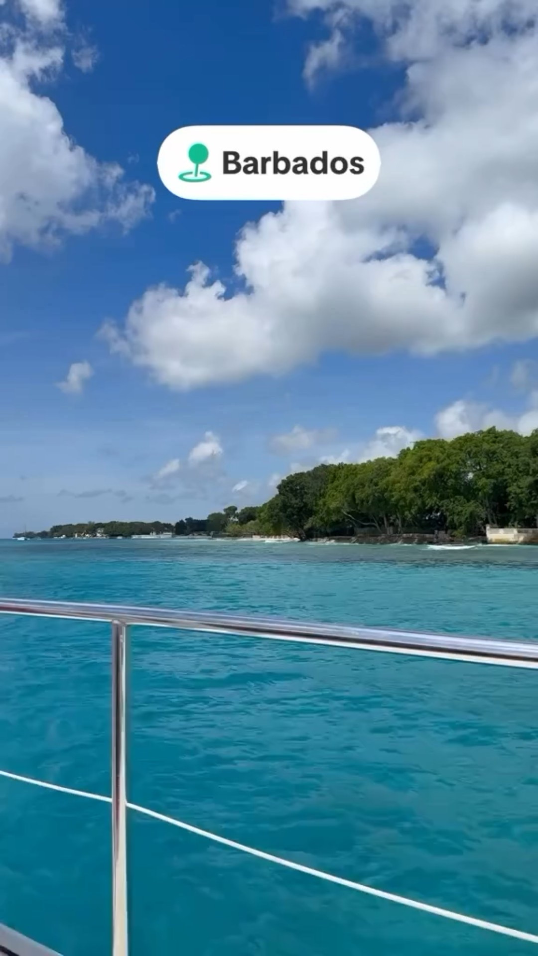 Barbados Snorkeling! 🤿 saw so many beautiful fish and sea turtles 🐢

#LTKSeasonal #LTKTravel