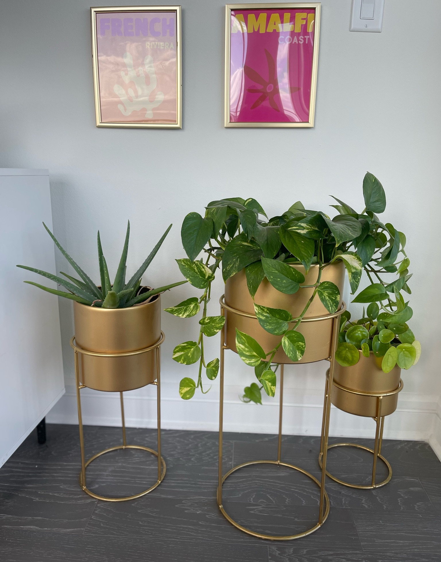 January 2023 I planted affirmation plants in Gold  potters from Wayfair 🌱 #plantmom 

#LTKhome #LTKSeasonal #LTKfindsunder100