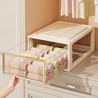 Plastic Underwear Drawer Organizer For Closet, 12 Cell Sock Organizer For Closet, Underwear Storage For Cabinet, Pull Out Storage Drawer For Socks, Ti | Wayfair North America