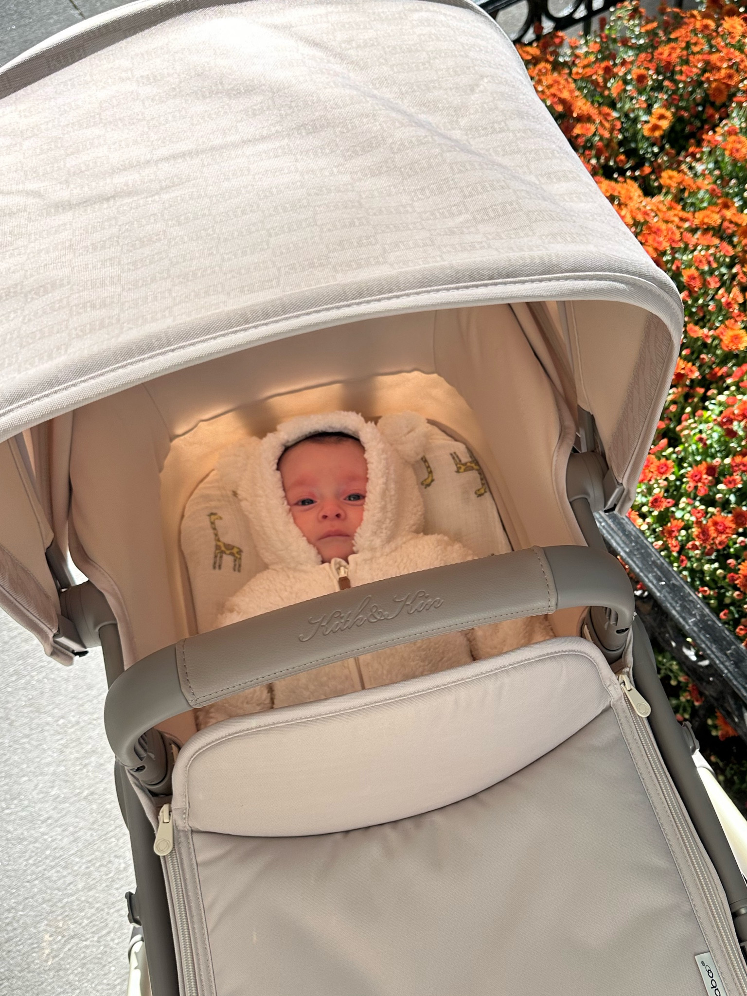 My little teddy 🧸

#LTKBaby