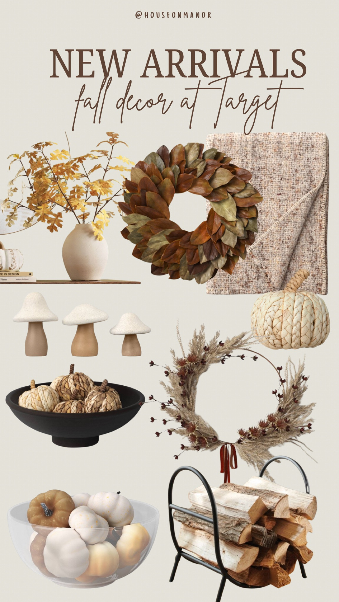 New Fall decor arrivals at Target😍😍🤎

#LTKFindsUnder50 #LTKSeasonal #LTKHome